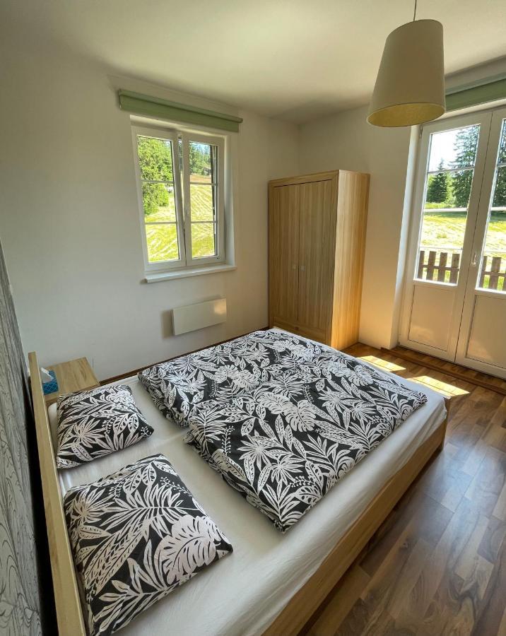 Apartman V Beskydech Staré Hamry 外观 照片